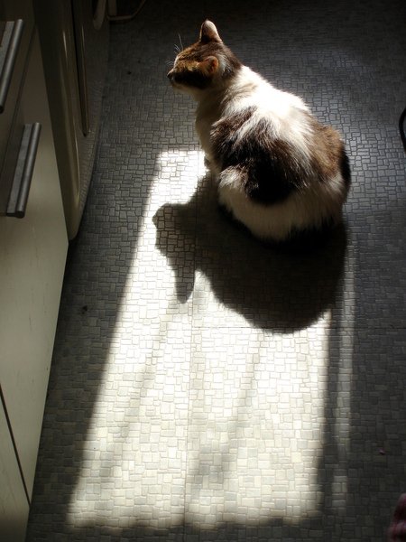 090413 052.jpg