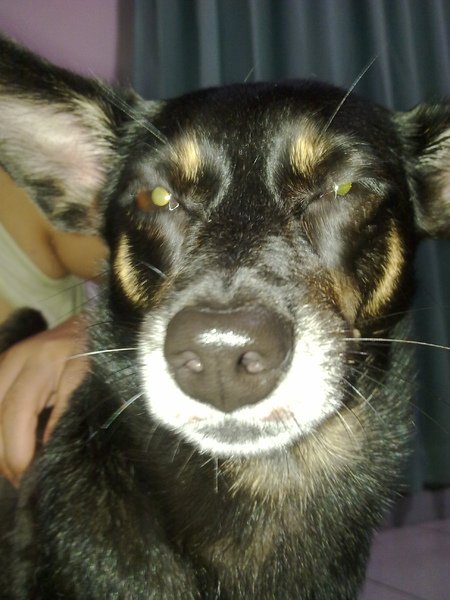 20101006185.jpg