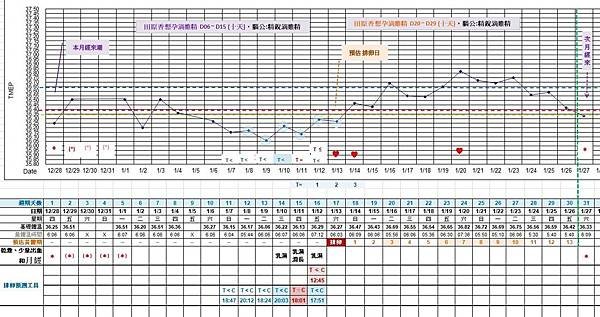 基礎體溫-滴雞精-03.JPG