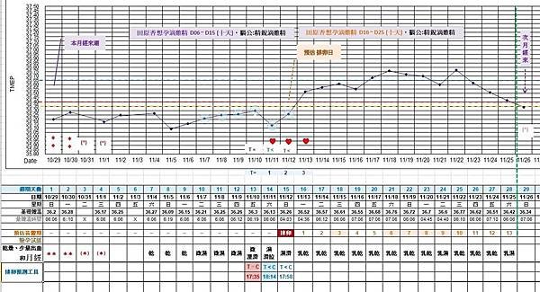 基礎體溫-滴雞精-01.JPG