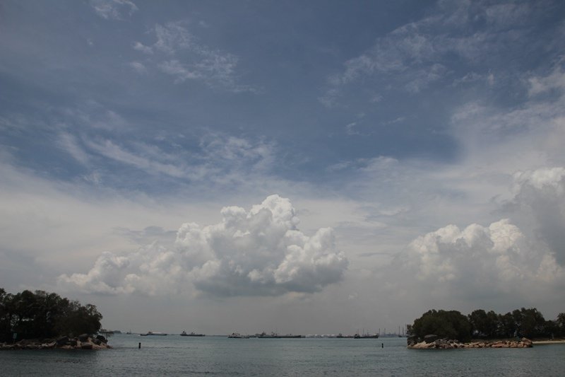 _MG_7388.JPG