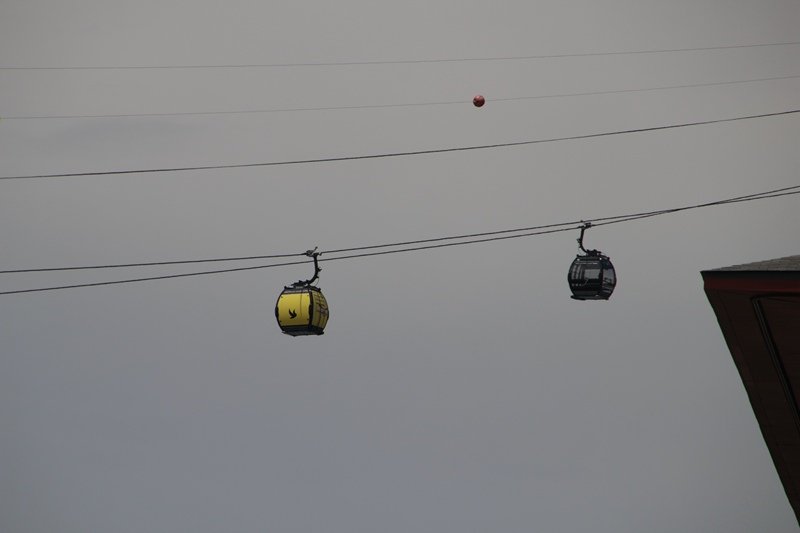 _MG_7480.JPG