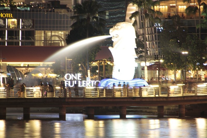 _MG_7102.JPG