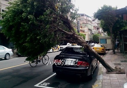 可怕的蘇迪勒颱風 [Typhoon Soudelor hits Taiwan]1