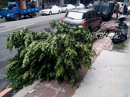 可怕的蘇迪勒颱風 [Typhoon Soudelor hits Taiwan]2