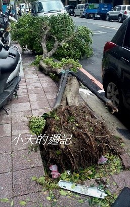 可怕的蘇迪勒颱風 [Typhoon Soudelor hits Taiwan]3