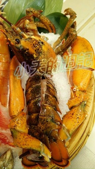 【板橋‧食記‧邀約】樂聚鍋物18.jpg