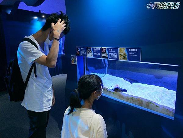 【基隆海科館】海洋嘉年華-趣味海洋生物特展6.jpg