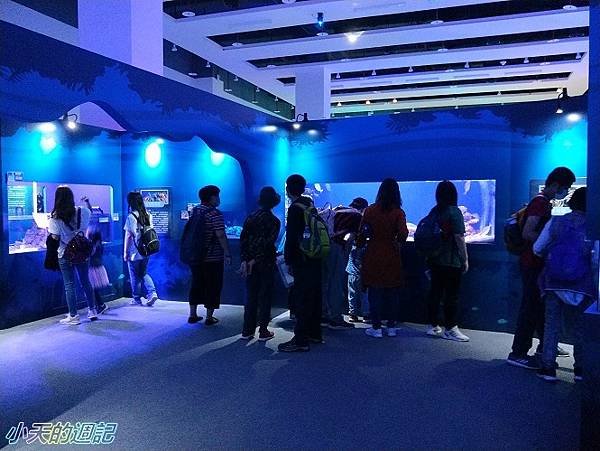 【基隆海科館】海洋嘉年華-趣味海洋生物特展9.jpg