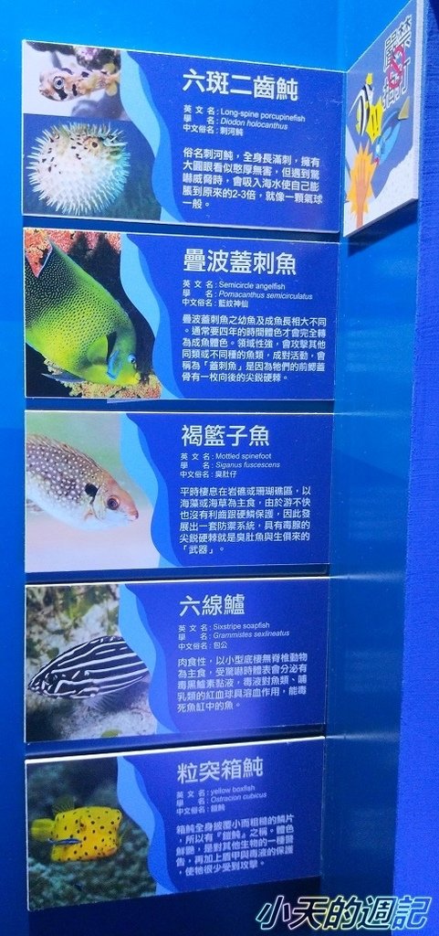 【基隆海科館】海洋嘉年華-趣味海洋生物特展11.jpg