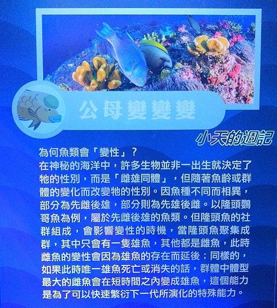 【基隆海科館】海洋嘉年華-趣味海洋生物特展13.jpg