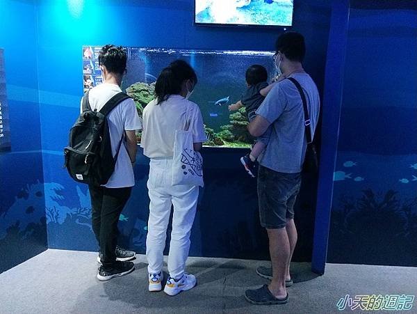 【基隆海科館】海洋嘉年華-趣味海洋生物特展10.jpg