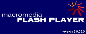 FlashPlayer