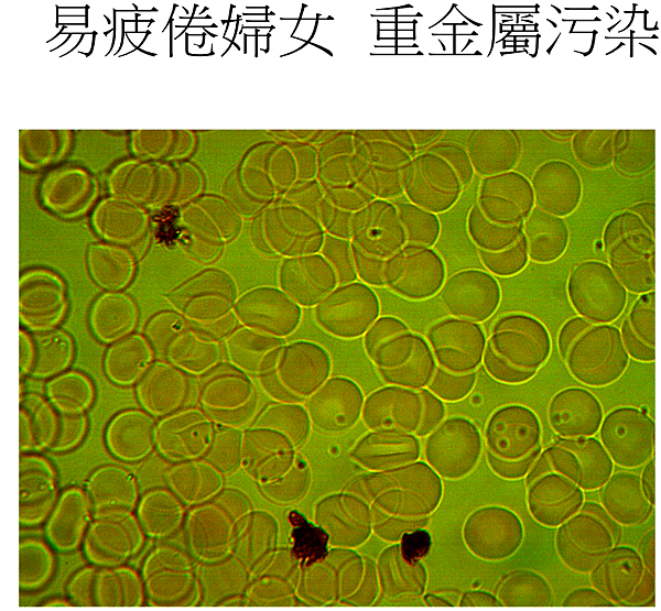 螢幕快照 2015-10-02 下午5.47.46