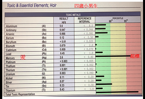 螢幕快照 2019-07-22 上午7.33.03