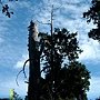IMG_4869.JPG