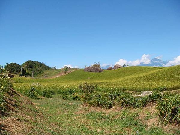 赤柯山三顆大石頭1