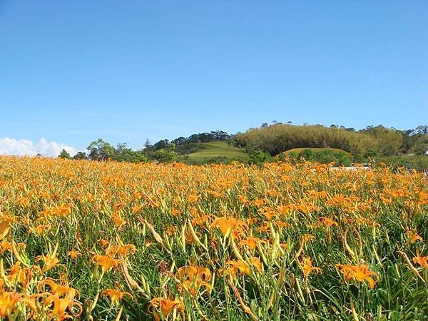 赤柯山林家花園2