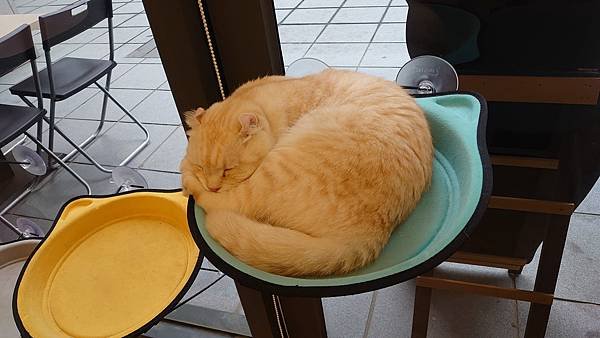 DSC_0138.JPG
