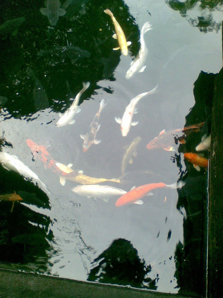 影像014.jpg