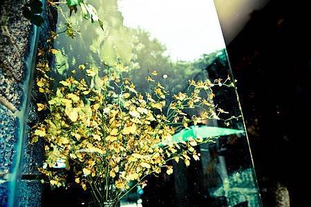 DSC_2498_調整大小 .jpg