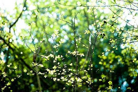 DSC_5518_調整大小 .jpg