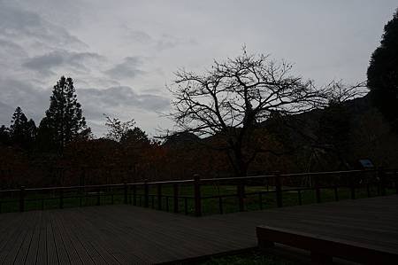 DSC01591.JPG