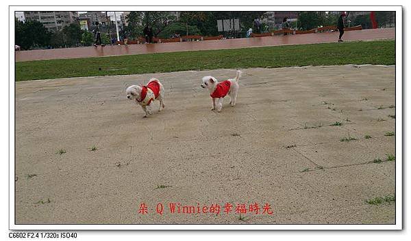 nEO_IMG_DSC_000003.jpg