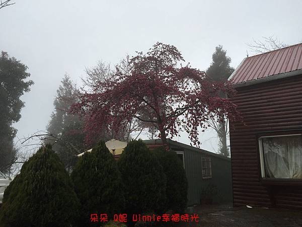 IMG_4537.jpg