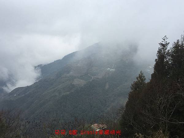 IMG_4590.jpg