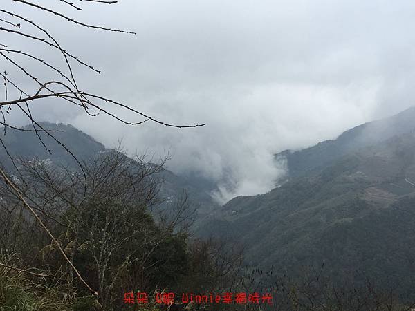 IMG_4591.jpg