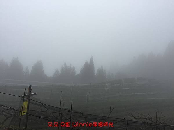 IMG_4630.jpg