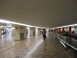 IMG_8581