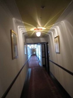 IMG_8599