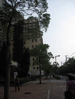 IMG_9287