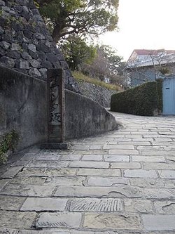 IMG_6877