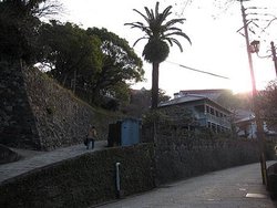 IMG_6880