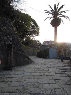 IMG_6881