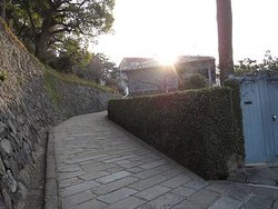 IMG_6883