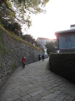 IMG_6886