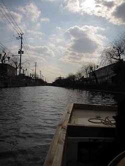 IMG_7564