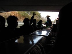 IMG_7584