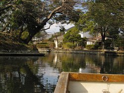 IMG_7589