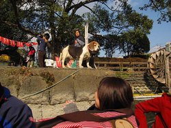 IMG_7596