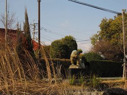 IMG_7604