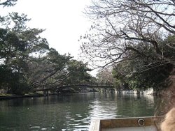 IMG_7607
