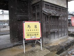 IMG_0865