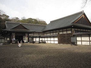 IMG_0878