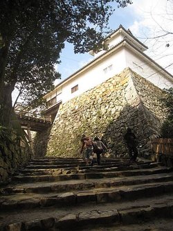 IMG_0886