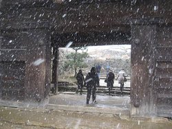 IMG_0911